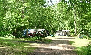 Woodland setting pitches