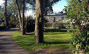 Holiday caravan in wooded setting