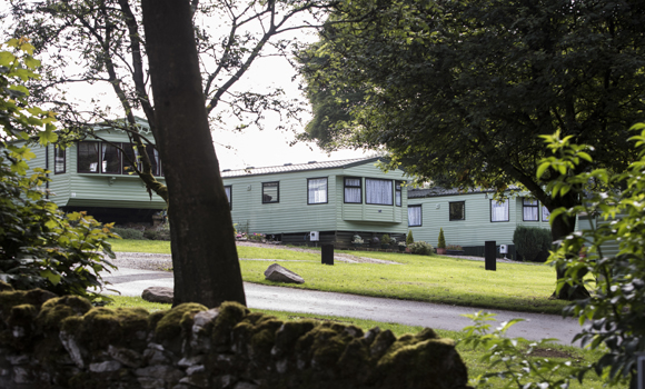 Touring pitches in shade of trees