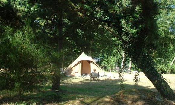 Typical camping pitch