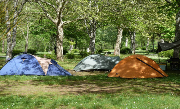 Typical camping pitches