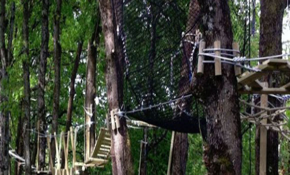 Treetop adventure
