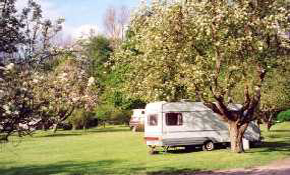 Main touring field