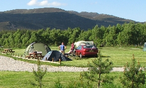 Camping pitches