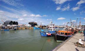 Harbour scene