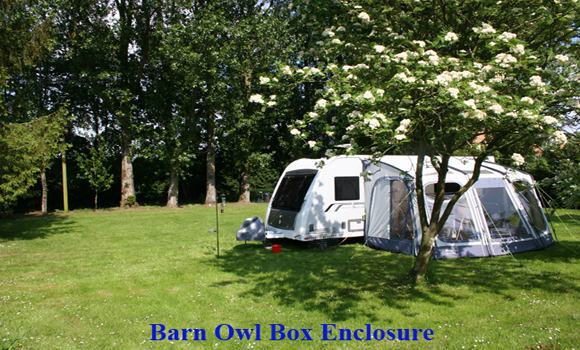 Barn Owl box enclosure