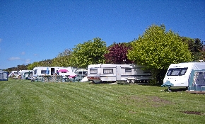 Touring pitches along treeline