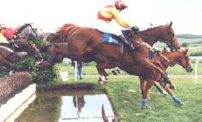 Horse racing over the water jump