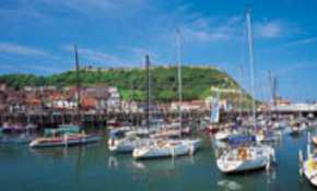 Boats in harbour