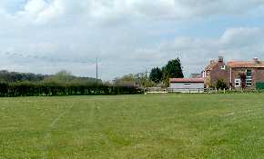 Main field