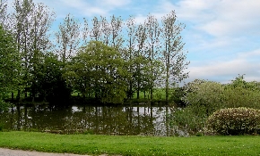 Pond