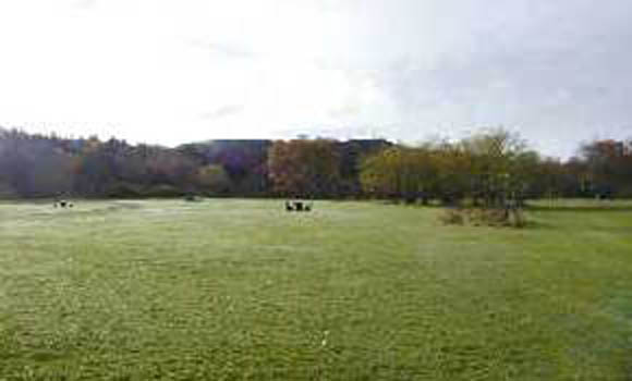 Main camping field with picnic tables