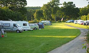 Main touring field with site road
