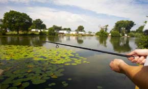 Fishing in the lake