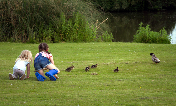 Duck.... there's children about!