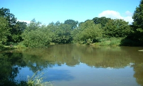 View of lake